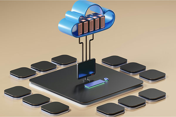 Vidhi Vikas Foundation database management