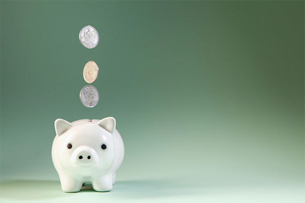 Vidhi Vikas Foundation financial assistance